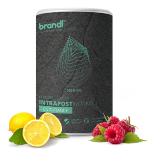 IntraPost Endurance / Juicy Lemon / 600 g