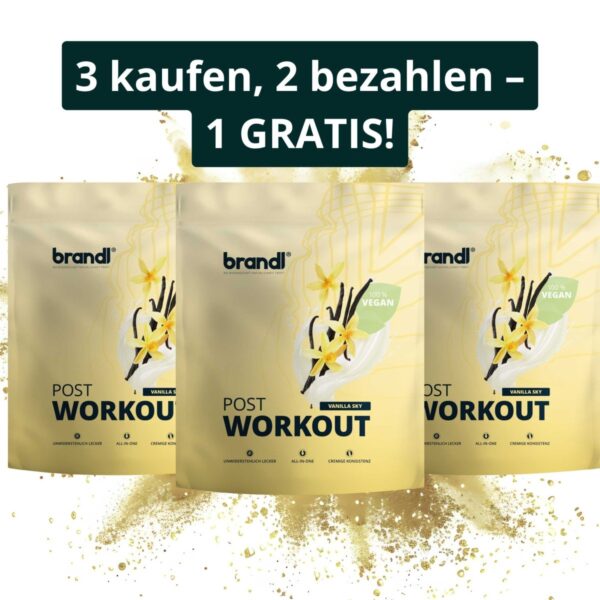 Post-Workout Vegan 2.0 (Angebot)